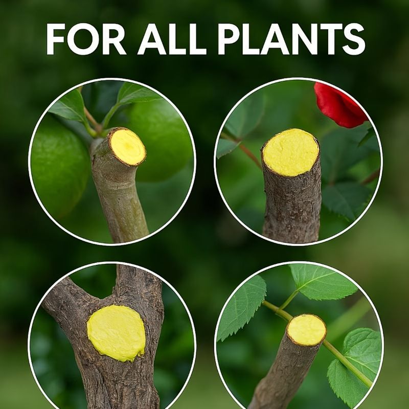 3Pack Tree Wound Sealer & Dressing, 150g Tree Pruning Sealer for Cut, Damaged Bark, Grafting – Effective Tree Repair Sealant for Shrub, Bonsai, Rose, Orchard Horticulture Grade Seal Formula - Green - Size 3Pack