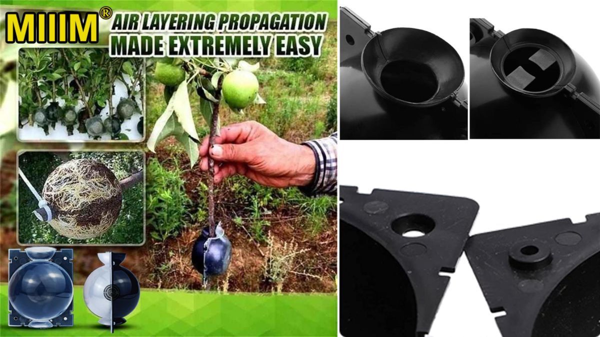 9 PCS Air Layering Propagation Kit, Reusable Half Clear Grafting Ball, Air Layering Pods Clear, Plant Rooting Ball for Fast Propagation (S+M+L)