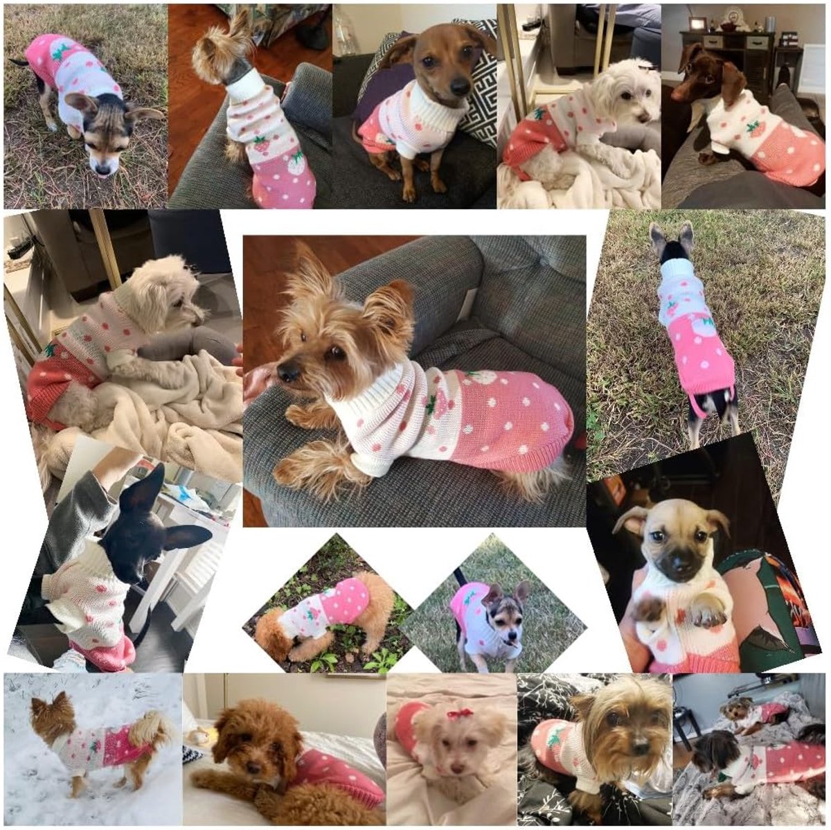 Dog Coat - Dog Sweater - Classic Turtleneck Knit Dog Sweater - Warm Winter Dog Clothes - Cute Strawberry Heart Pattern - Perfect for Small and Medium Dogs - Pink - Size XXL
