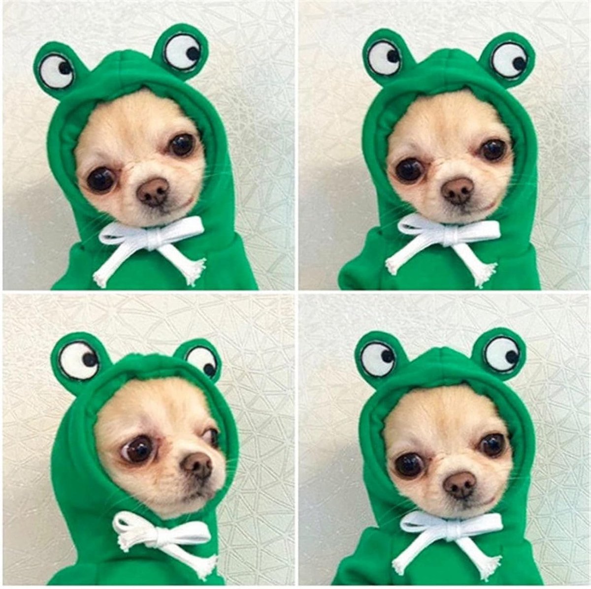 Dog Coat - Warm Winter Dog Clothes - Cute Frog Dog Coat - Hooded Sweatshirt - Warm Dog Coat - Fleece Dog Clothes - Perfect for French Bulldogs - Chihuahuas - Green - Size L