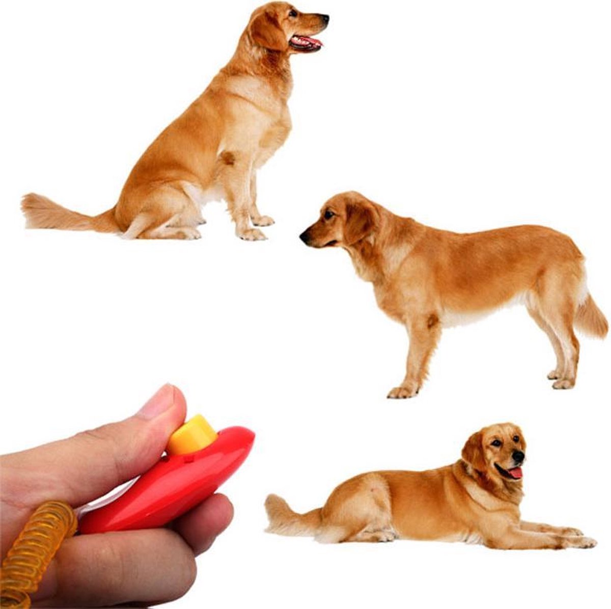 Handy clicker for clicker training - Blue