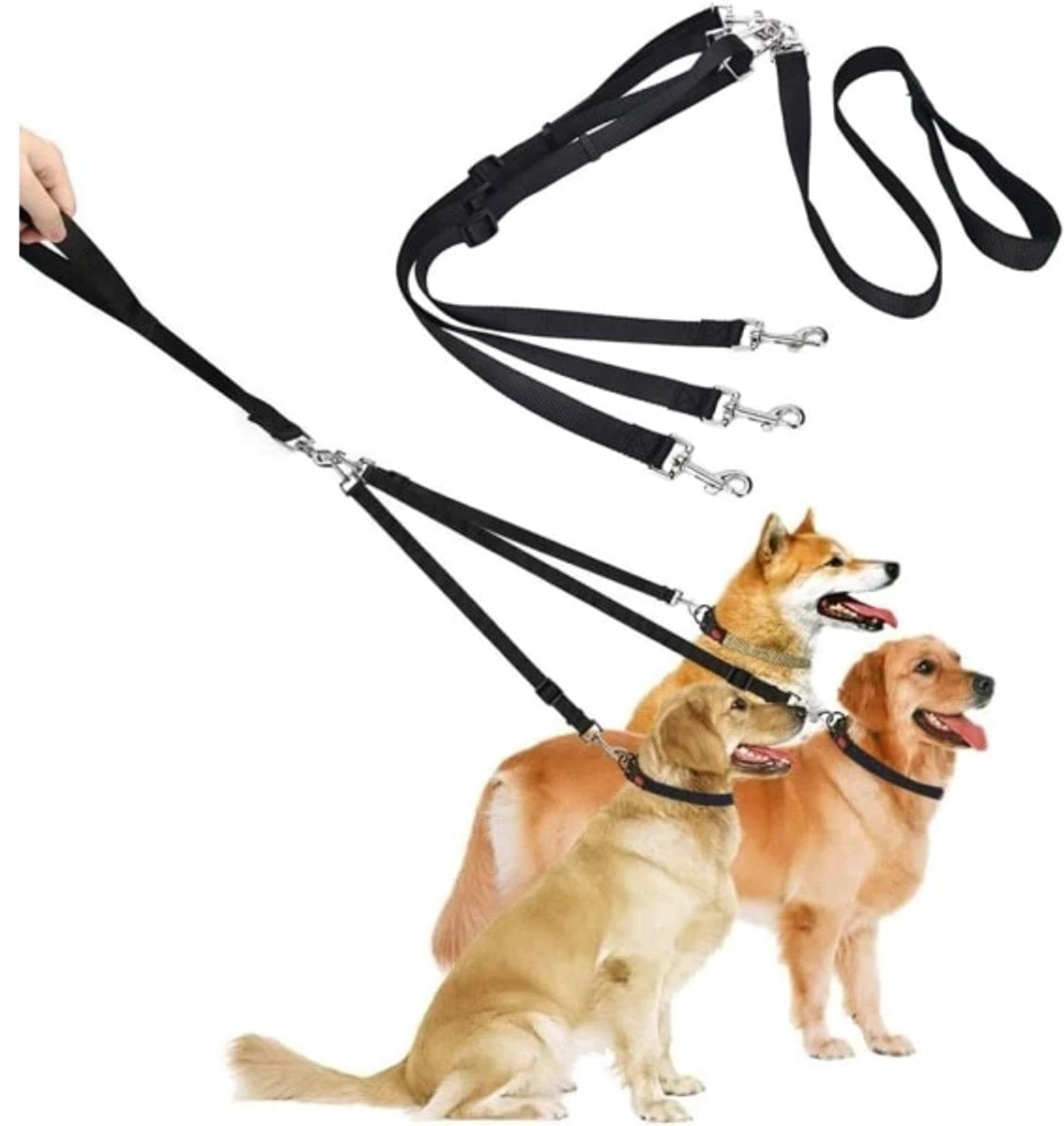 3-in-1 Dog Leash – Adjustable, detachable, for medium-sized dogs