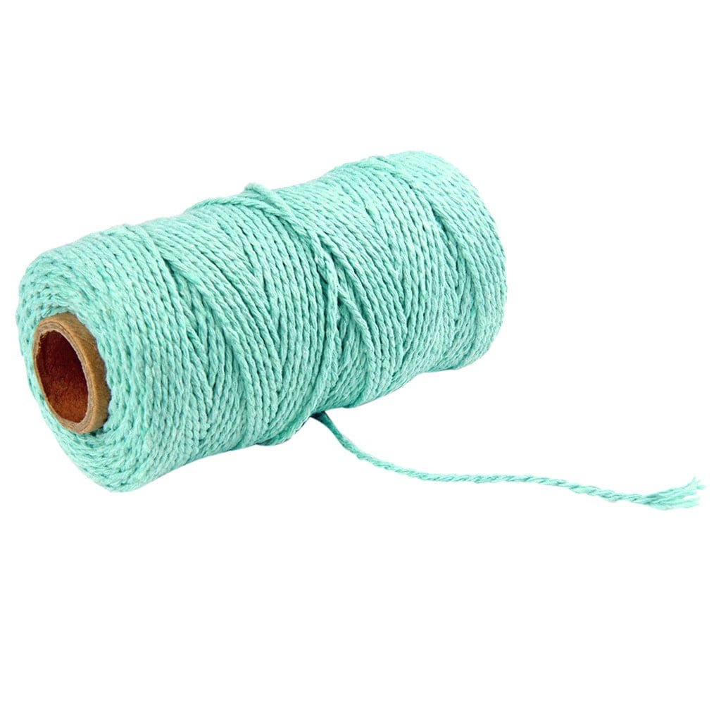 Danhjin 100m Long/100Yard Pure Cotton Twisted Cord Rope Crafts Macrame Artisan String - on Clearance light blue