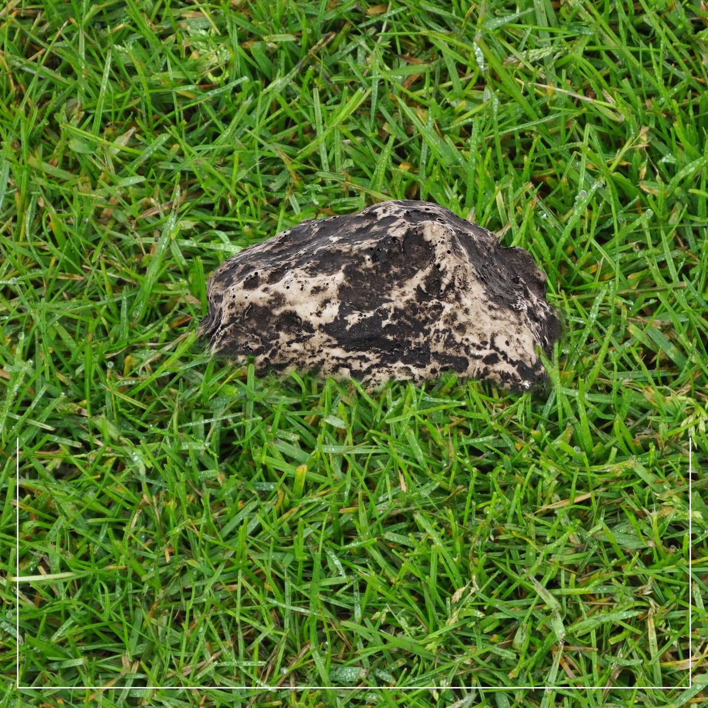 Hide-a-Spare-Key Fake Rock - Looks & Feels like Real Stone - Safe for Outdoor Garden or Yard, Geocaching (1)