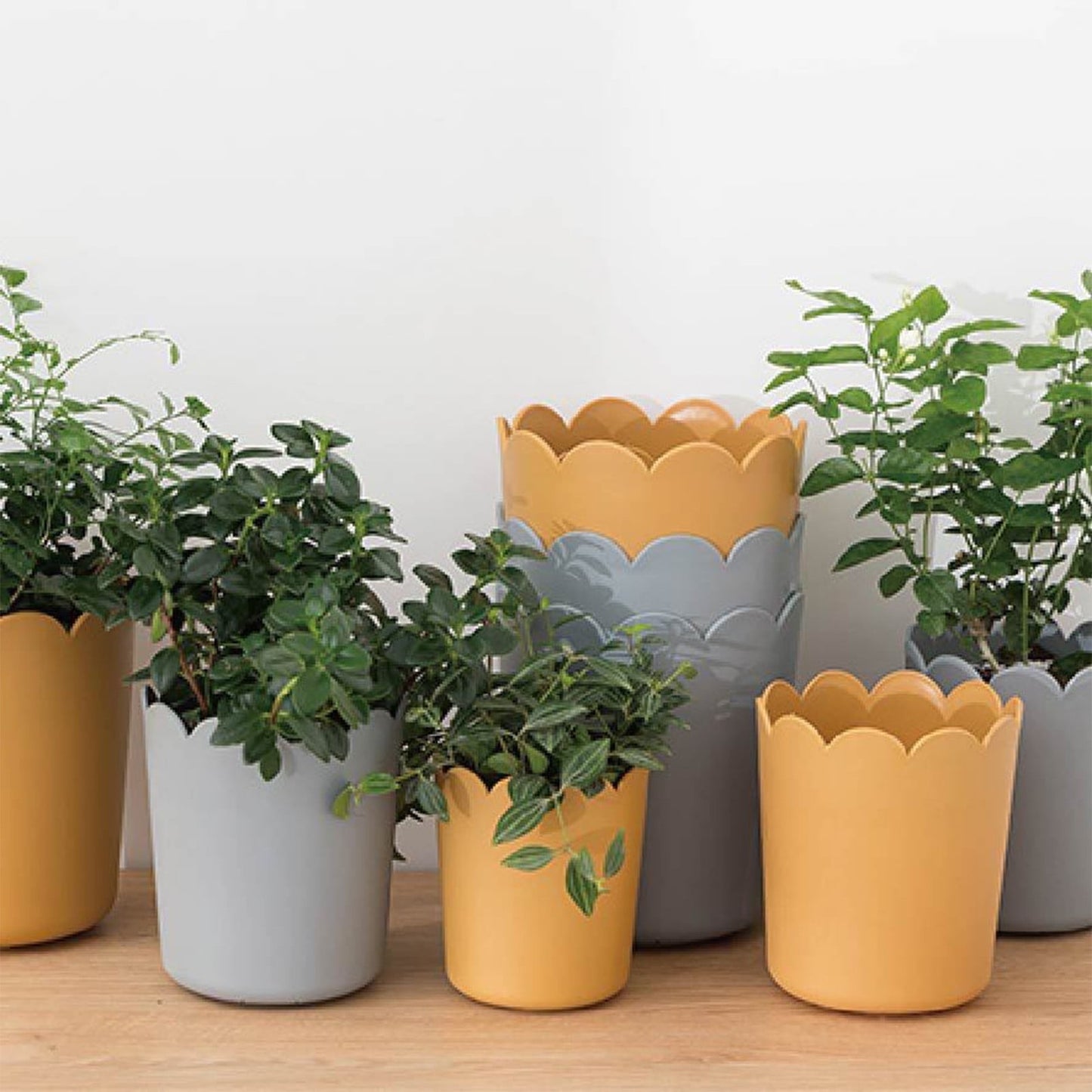Jwdx Flower Pots Clearance, Garden Supplies Promotion! Plastic Plant Pots for Plants With Saucers Indoor Set of 1 Plastic Planters Modern Flower Pot With Hole for All House Plants Herbs Flowers Or4 Z5-GY2