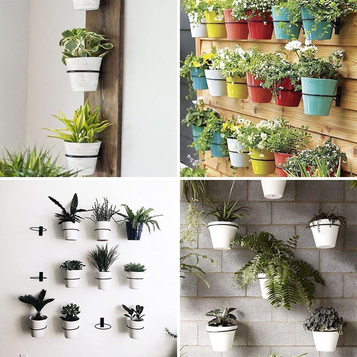JWDX Rack Clearance! Flowerpot Holder Ring 4 Inch Wall Mounted Flower Pot Hangers Metal Stand Hanging Bracket Basket Hook, Include 1X Flower Pot Stand, 1X Screw, 1X Expansion Tube B