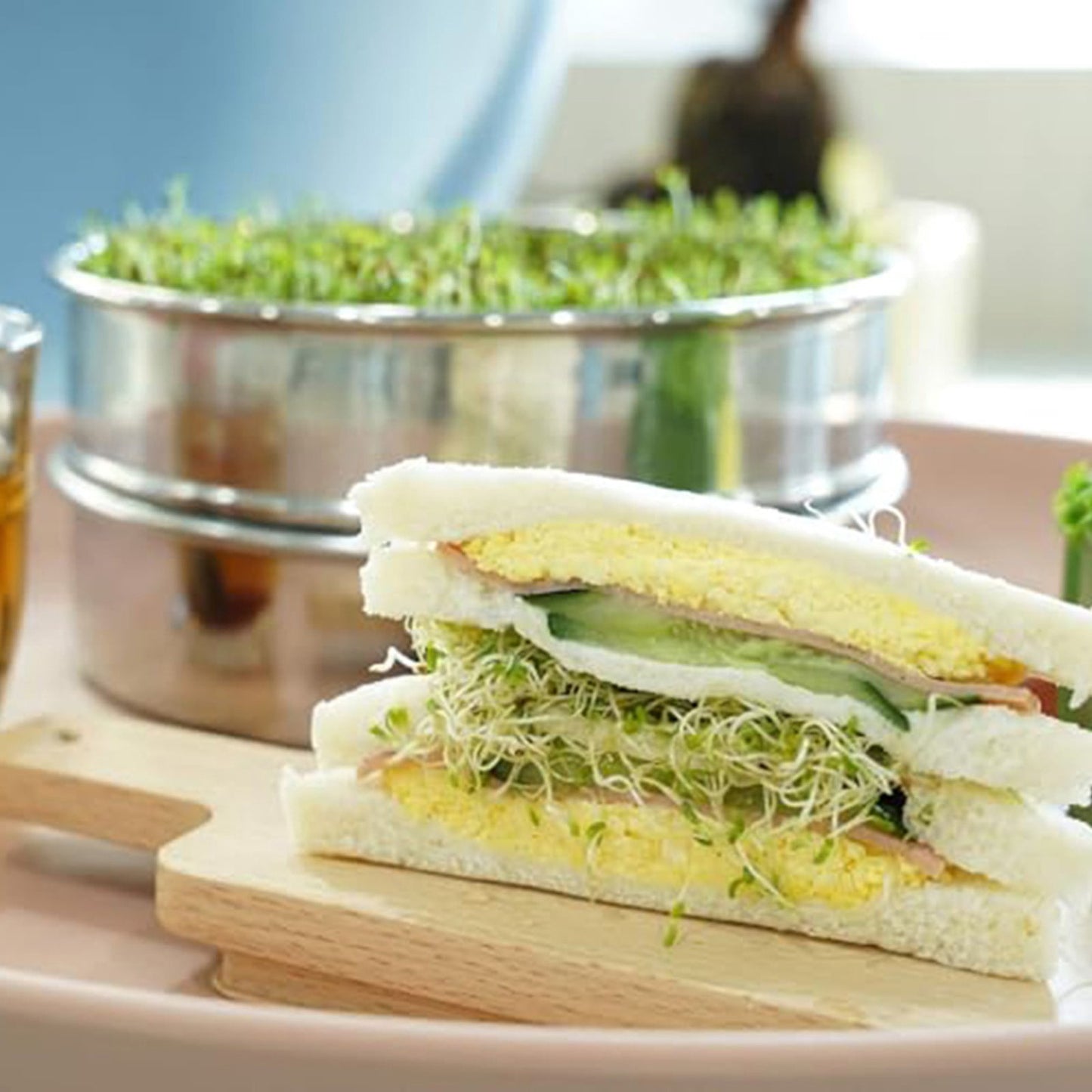 Stainless Steel Sprout Propagation Set 3-Tier Germination Trays 3Tier Germination Smile Home