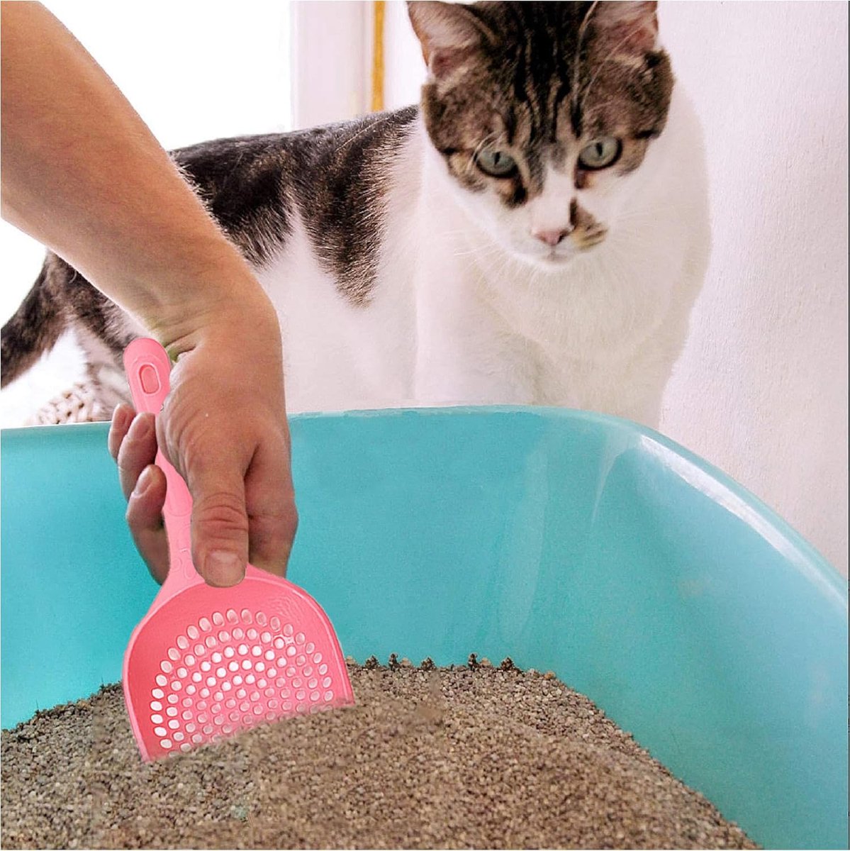 Cat Litter Scoop | Poop Scoop | 25 CM | Small Holes | Green
