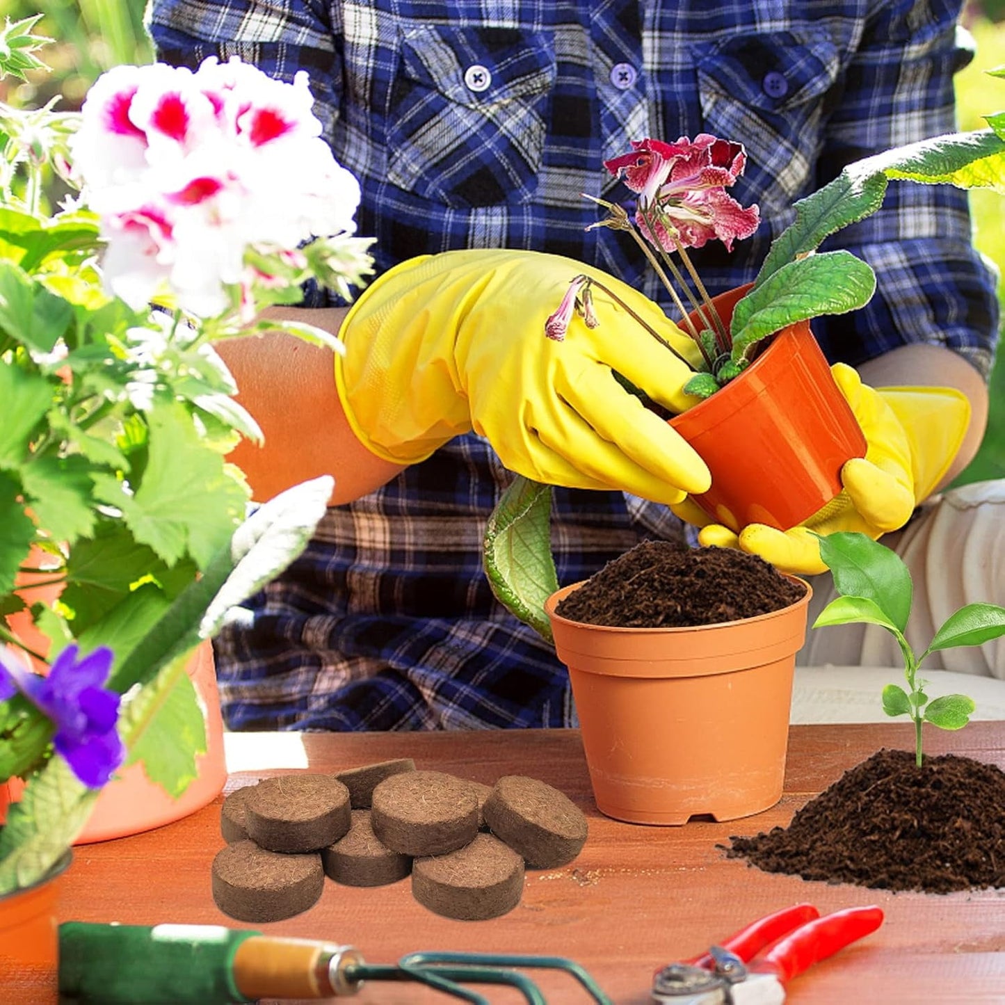 20Pack Coir Pellets Seed Starting Soil,1.2x0.4In Portable Coco Peat Soil for Indoor Outdoor,QZS Compressed Coir Fiber Potting Soil for Plants,Herb