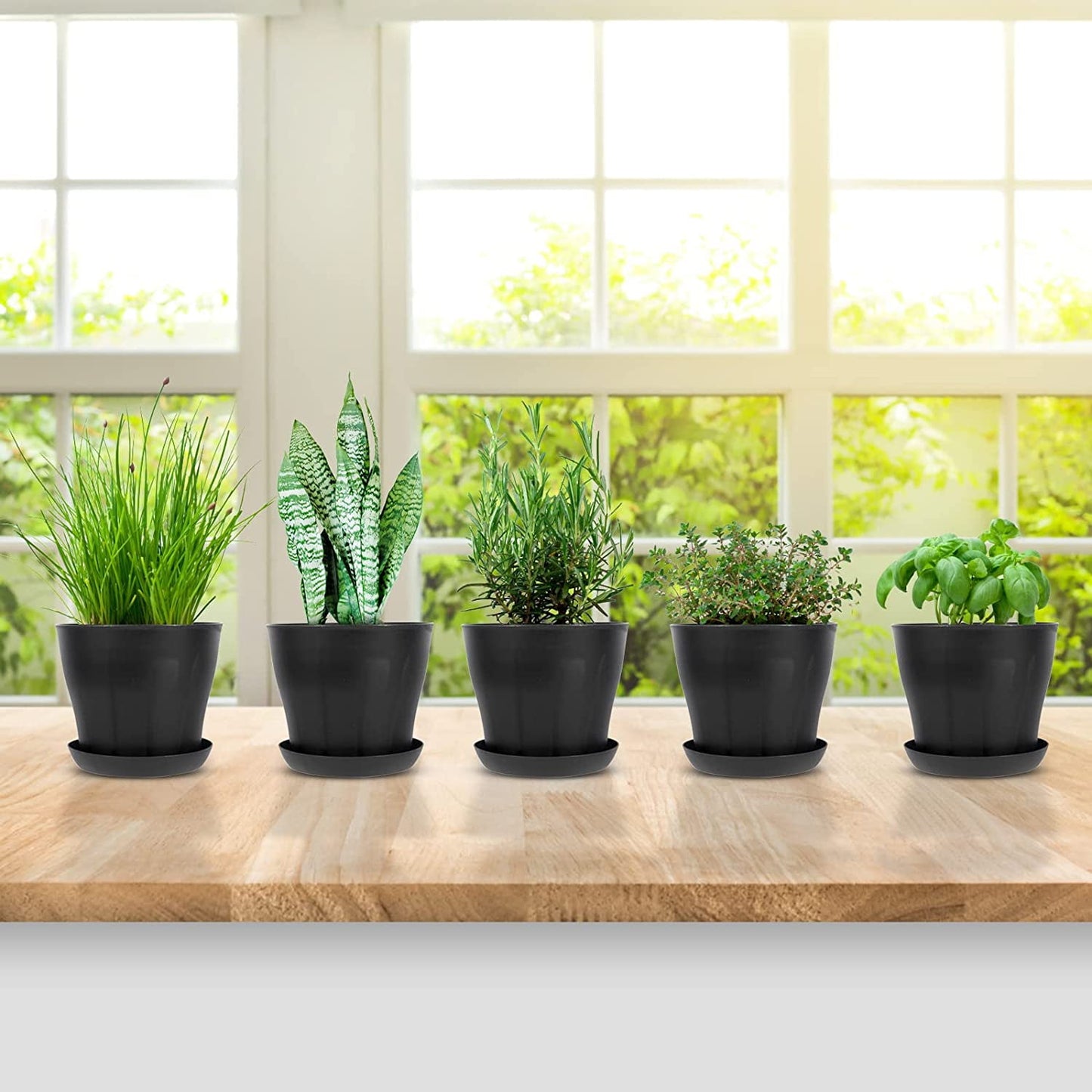 Pots for Plants, 8 Pack 4 inch Plastic Planters with Multiple Drainage Holes and Trays - Plant Pots for All Home Garden Flowers Succulents (White) 4inch-Black