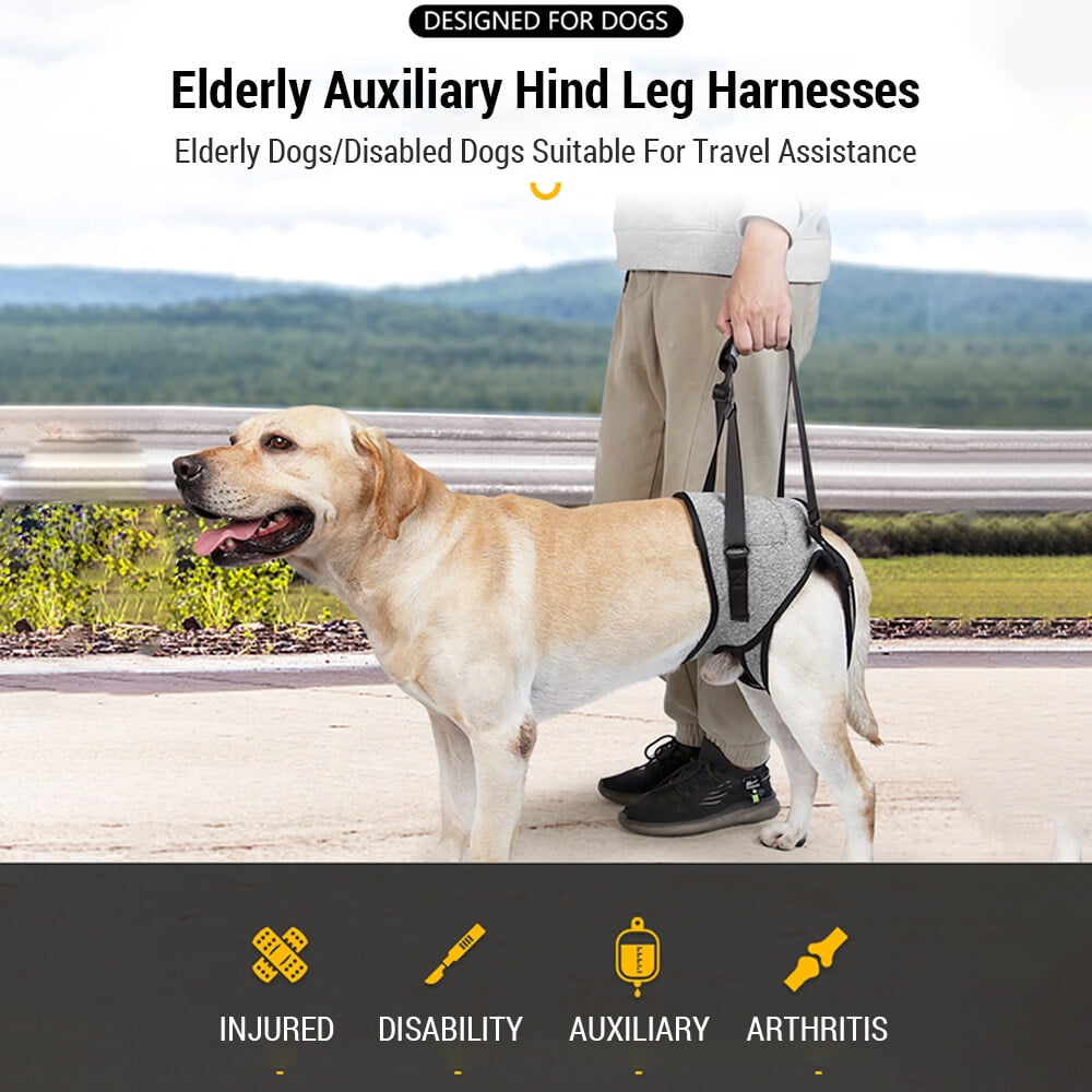 Dog Sling for Large Dogs Hind Leg Adjustable Dog Lift Harnesses For Walking/Climbing Pet Auxiliary Slings for Elderly, Disabled Dogs S