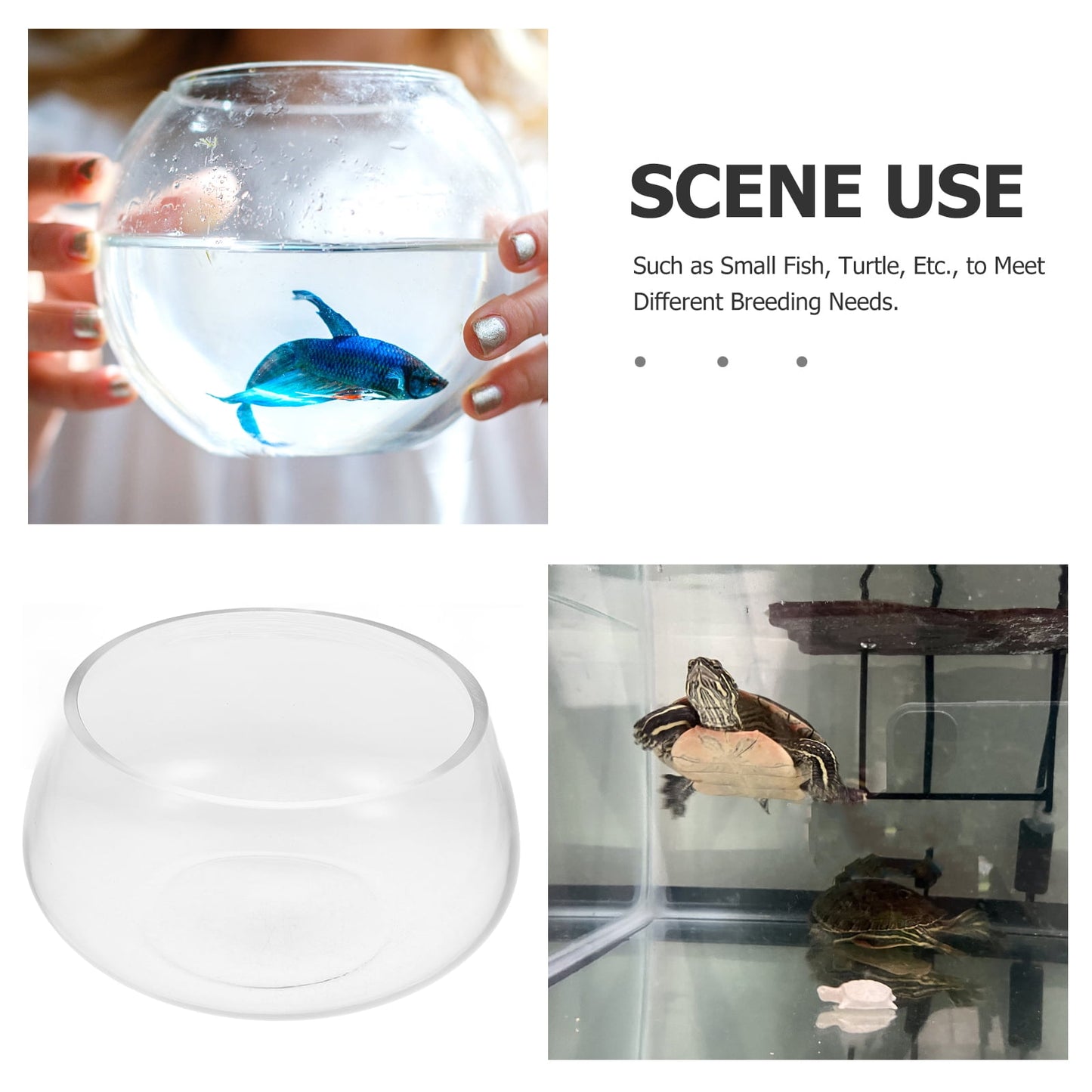 Round Clear Glass Fish Bowl Small Transparent Aquarium Tank for Desktop Fish Tank Landscaping and Turtle Habitat 0.00X0.00X0.00CM Transparent