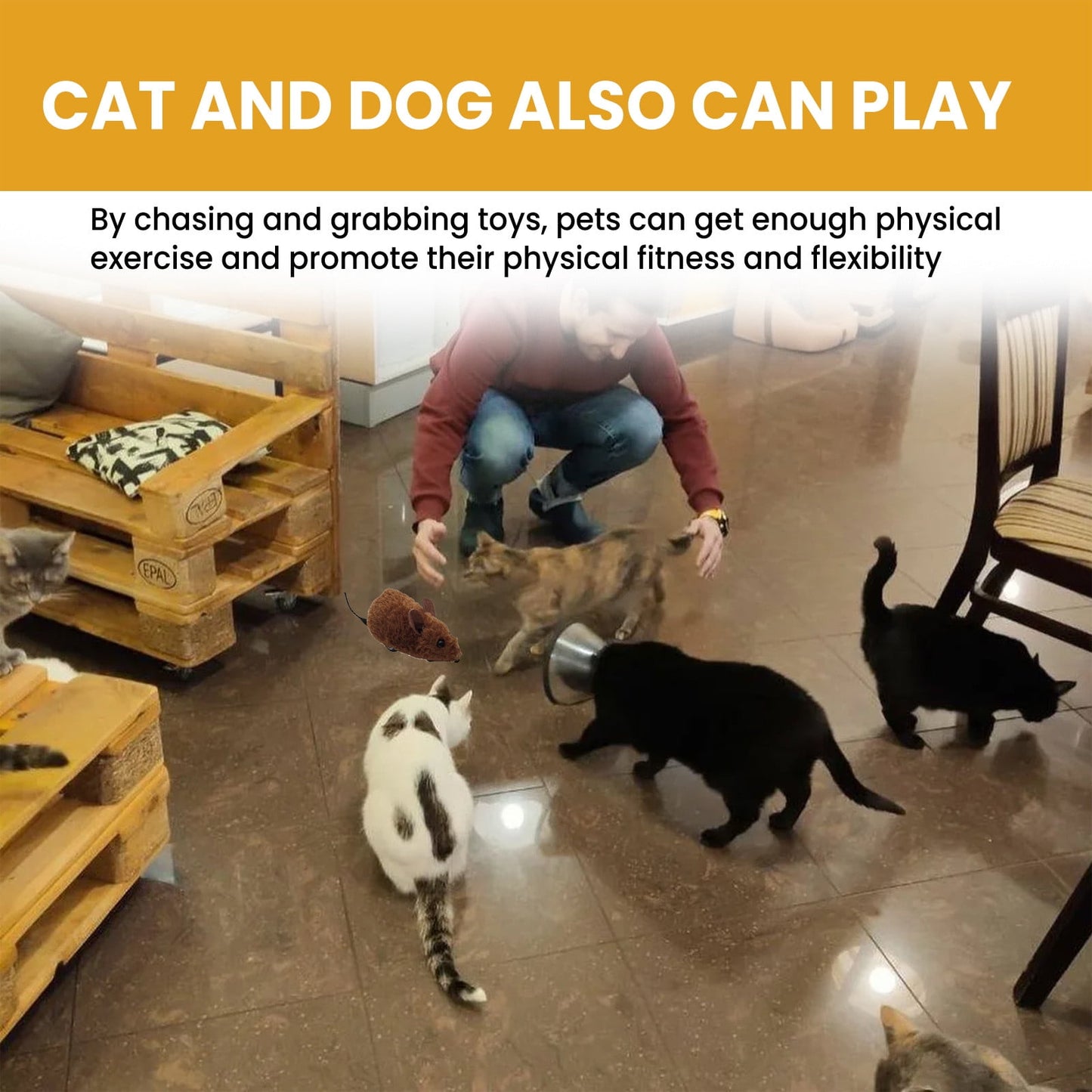 Darzheoy Interactive Toys for Indoor Cats, Mouse Toys with Electronic Realistic Squeaky Sound, Automatic Moving Kitten Toys Electric Mice Toy Self Play Exercise Brown