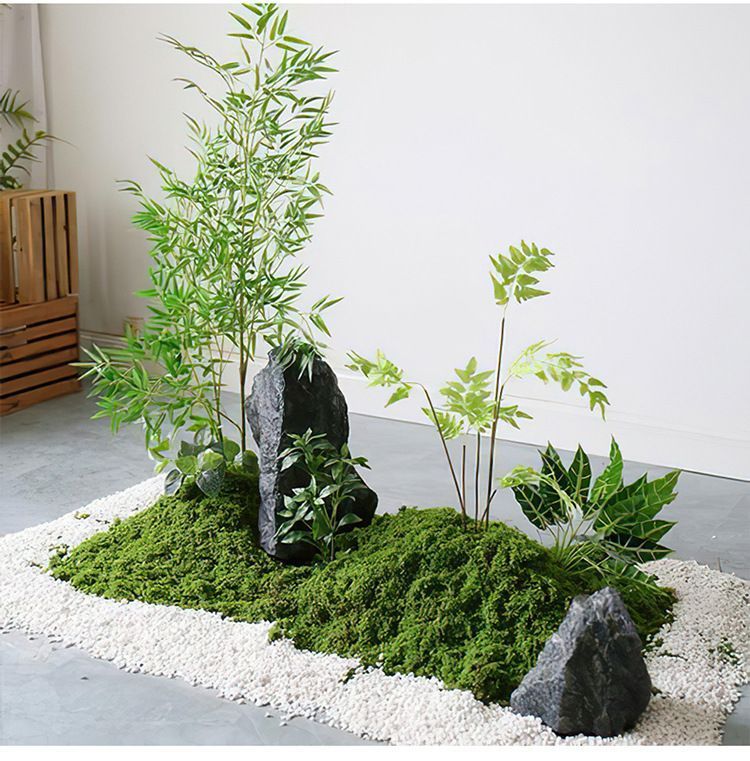 diy artificial moss lawn-Dark Green Filamentous Moss 20g