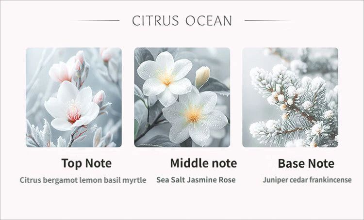 Car Aromatherapy-Pink