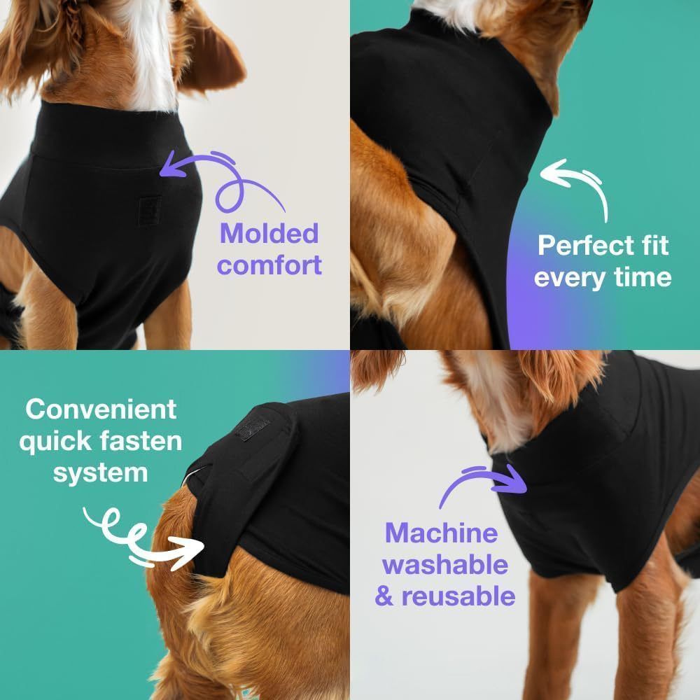 Pet physiological pants-XS