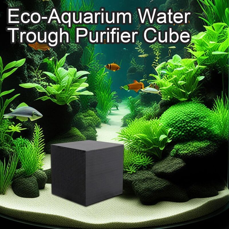 Cubes Purificateurs of Water for Abreuvoir a Chevaux