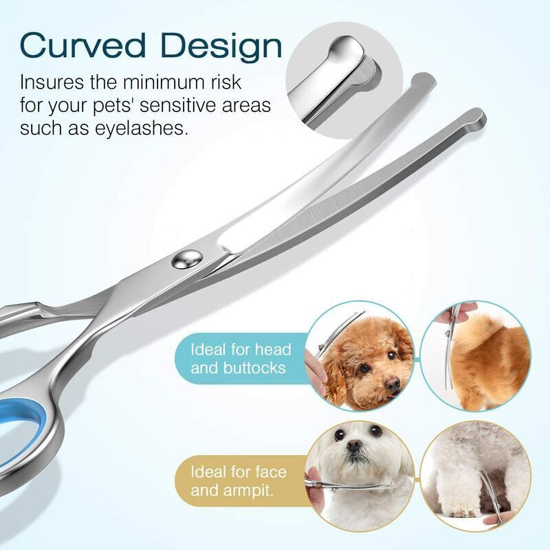Dog Grooming Scissors Blue, 5, Coated Stainless Steel Piece Pet Grooming Tool Set in Titanium