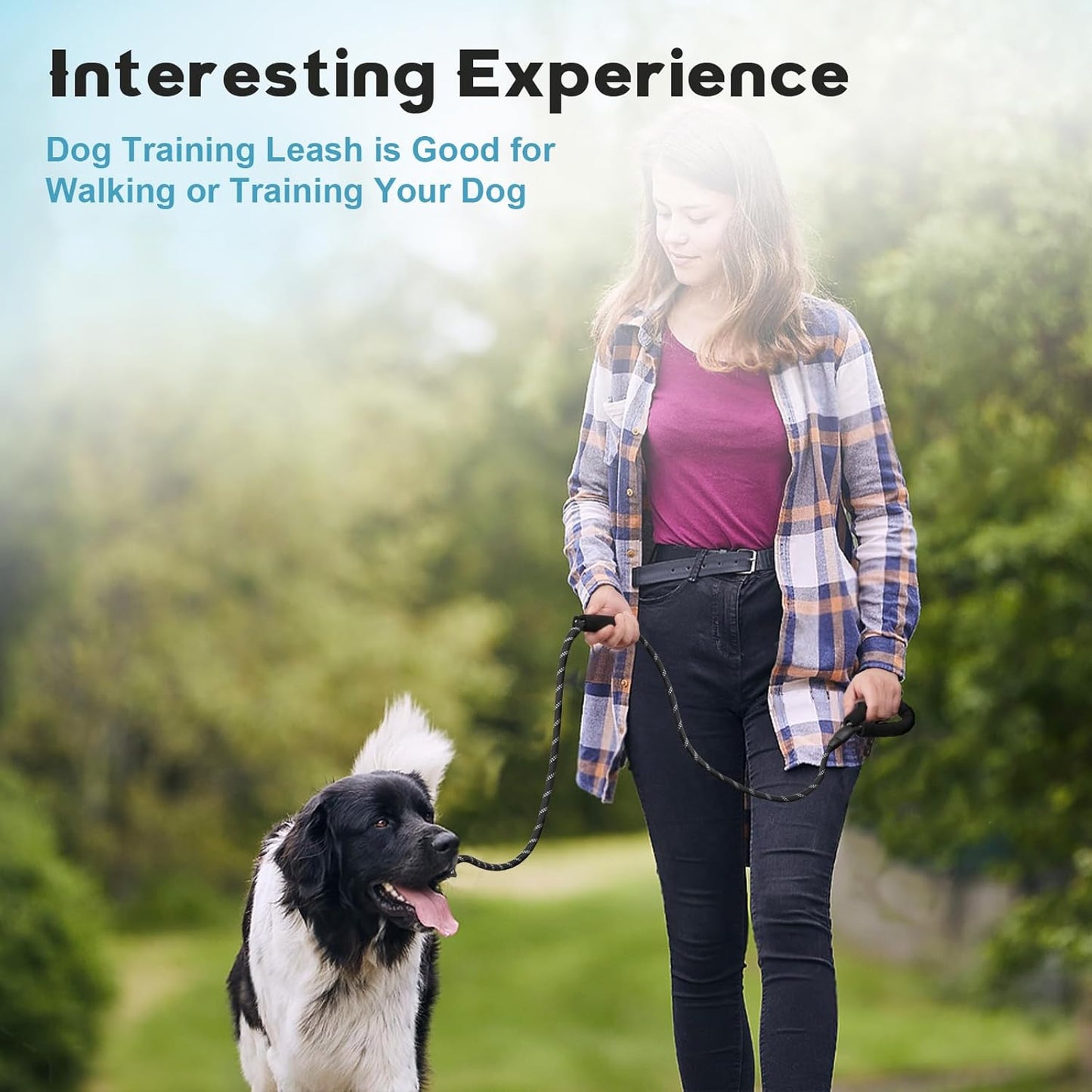 Dog Leash 6 FT with Comfortable Padded Handle, Training Loop Leash with Highly Reflective Threading for Medium Dogs, Black