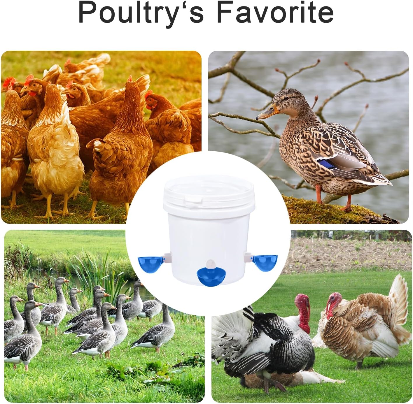 Professional Chicken Waterer Cups, 8 Packs Blue Large Chicken Water Feeder, Tee Fittings Poultry Waterer Suitable for Duck, Chicks, Goose, Turkey, Bunny and Bird with Mounting Hole Opener