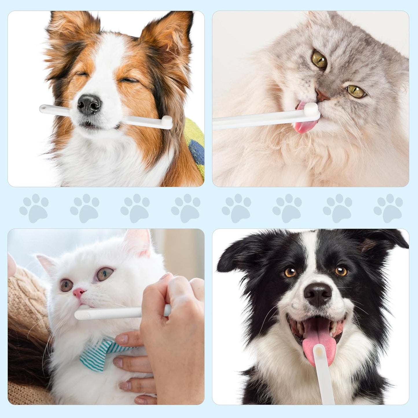 Petluno Small Dog & Cat Toothbrush 5 Set, Micro Nano Bristles to Clean pet Teeth Toothbrushes, Puppy Dogs Pet Tooth Cleaning Kit with Storage Box(White