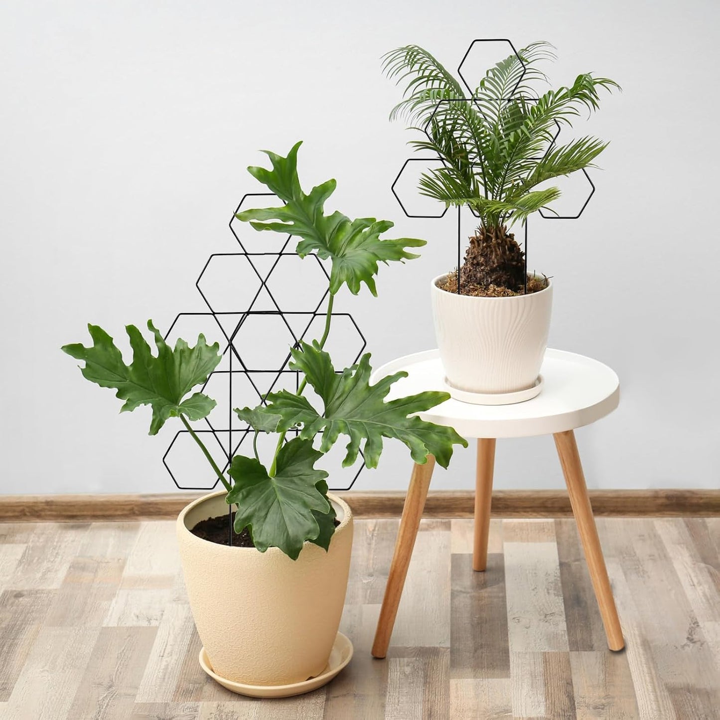 Plant Trellis for Climbing Plants Indoor 3 Pack Stackable Outdoor DIY Metal Trellis for Potted Plants 15.7 Inch Small Honeycomb Garden Trellis for Vines Clematis Wisteria Houseplant(Black)