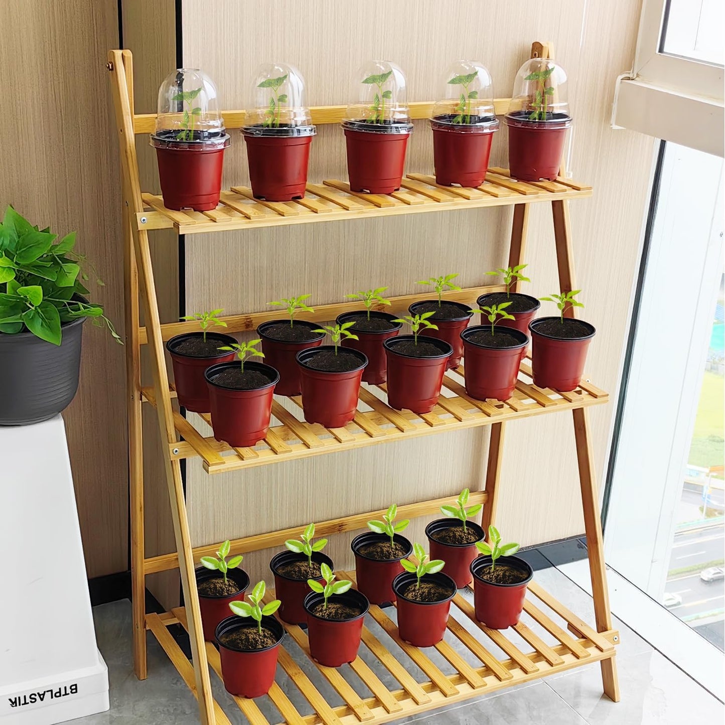 25 Pack Seedling Pots with Lids 9x14cm Reusable Mini Greenhouse Grow Trays for Propagation