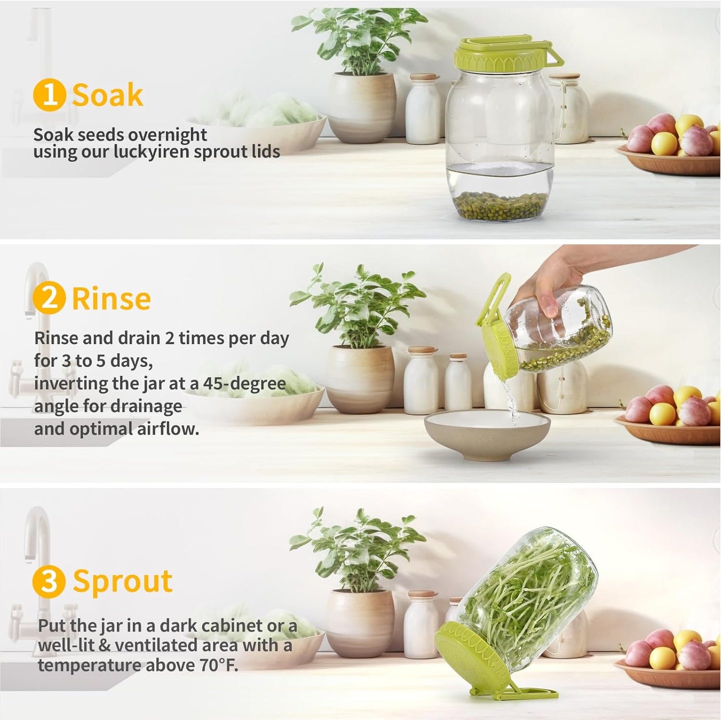 Complete Sprouting Kit - 2 Large Wide-Mouth Mason Jars 32 Oz, 2 Foldalbe Screen Lids with Draining Stand, 2 l Canning Lids, Bean Sprouts Grow Kit for Broccoli alfalfa