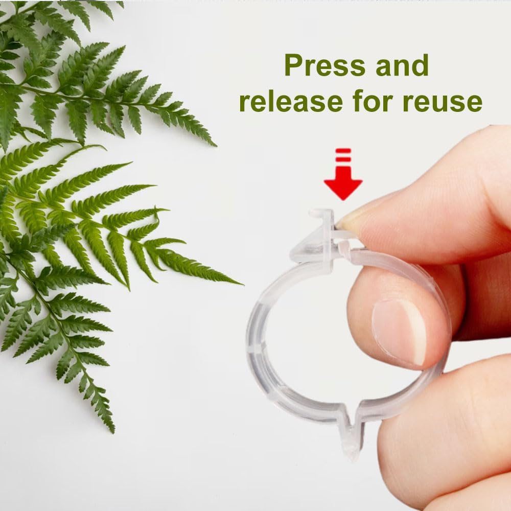 2024 Upgraded Secured Plastic Plant Clip, Summer Plant Support Clips Garden Climbing Vines Fixing Clip, Plant Support Clips Reusable Garden Clips 50Pcs Trellis Clips Tomato Clips (50, Green)