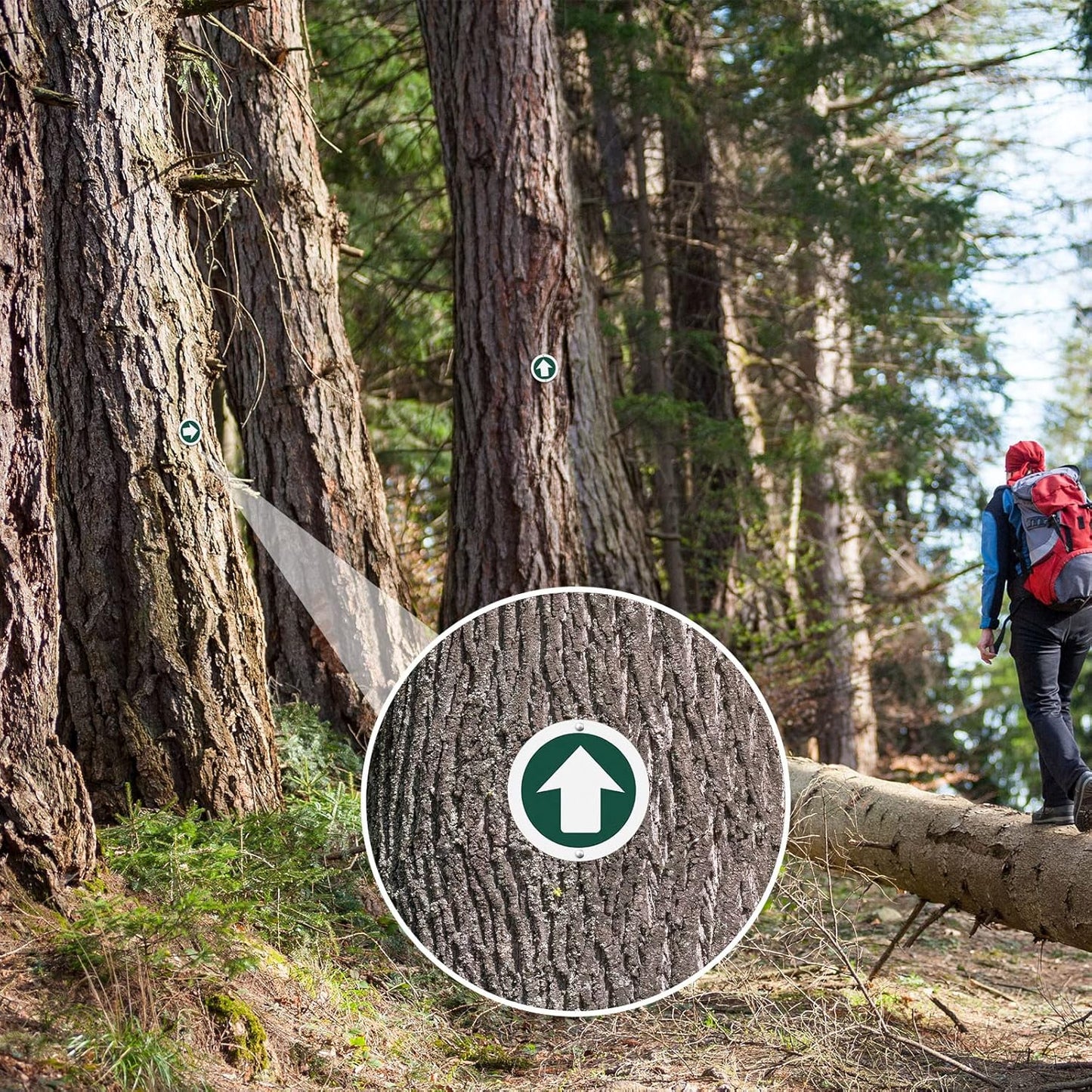 36 Piece Trail Markers Bright Reflective Green Signs Marking Reflectors for Hiking Hunting Camping Backpacking Walking Driveway Office New Place, Easy to Mount