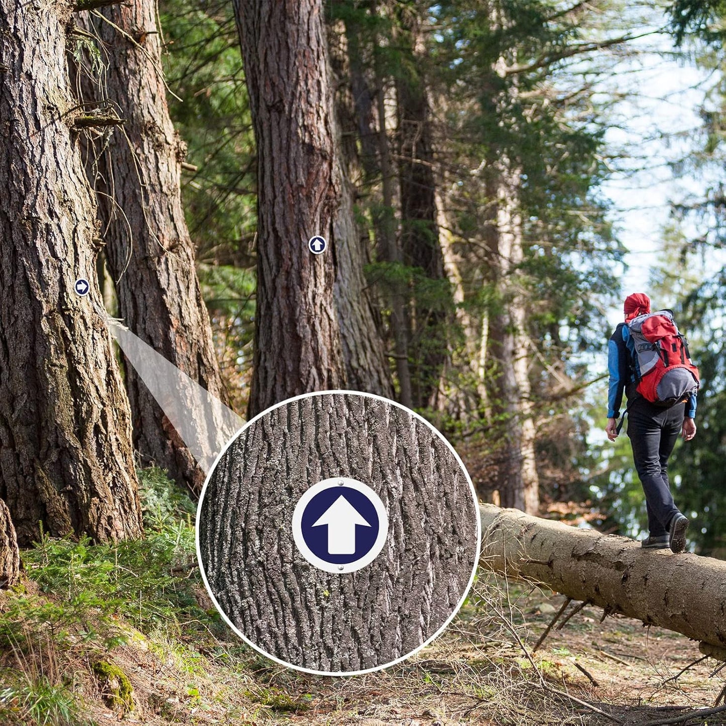 24 Pieces Bright Reflective Trail Markers Round Bin Marker with Tacks Aluminum Signs Thumb for Hunting Hiking Camping and More Blue