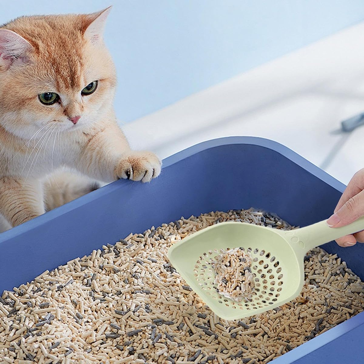 Cat Litter Scoop, Kitten Pooper Lifter, Non Stick Sifter Poop Cleaner Corner Shovel,Cat Feces Scoop, Cat Cleaning Supplies, A Variety Of Colors Available, Durable And Reliable (B)