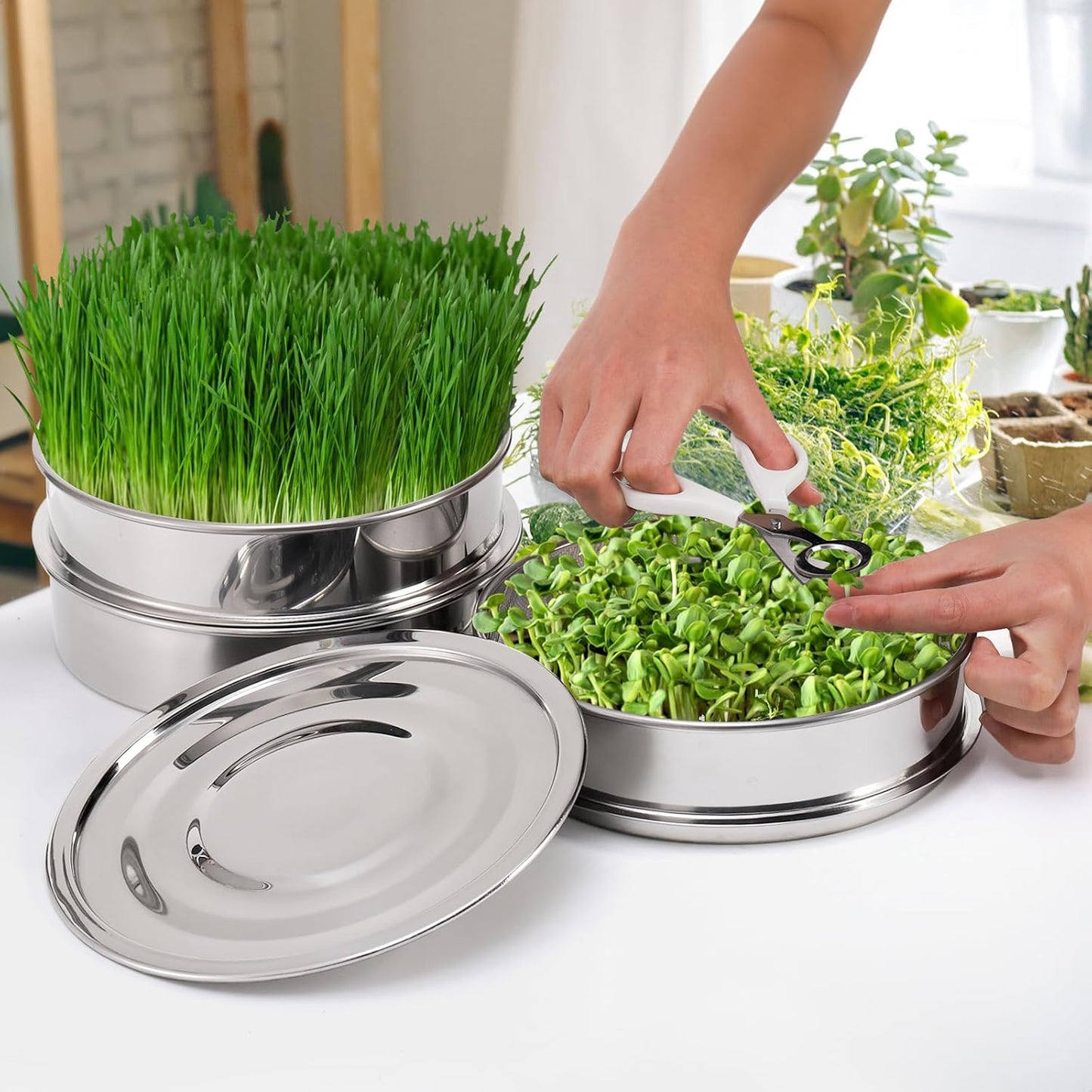9" Stackable Stainless Steel Seed Sprouting Kit, 3-Tier Mesh Germination Tray, Sprout Grower with Lid Base, Microgreens Propagator for Beans Peas Broccoli Wheat Grass, Soil Free