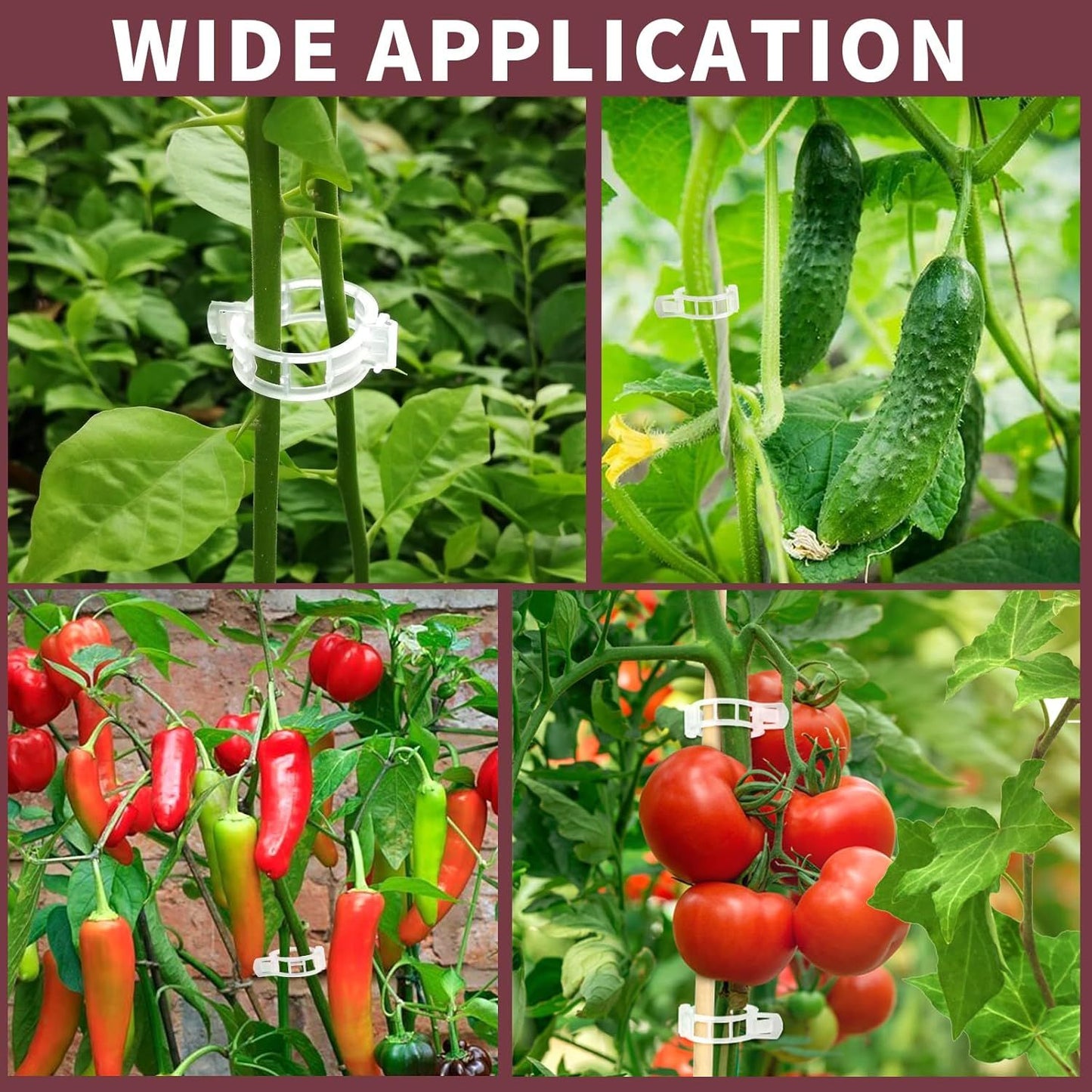 300 PCS Plant Support Clips, Plastic Garden Plant Ties, Tomato Clips Trellis or Tomato Cucumber lower Squash Vine, 1” Inner Diameter or Climbing Plants