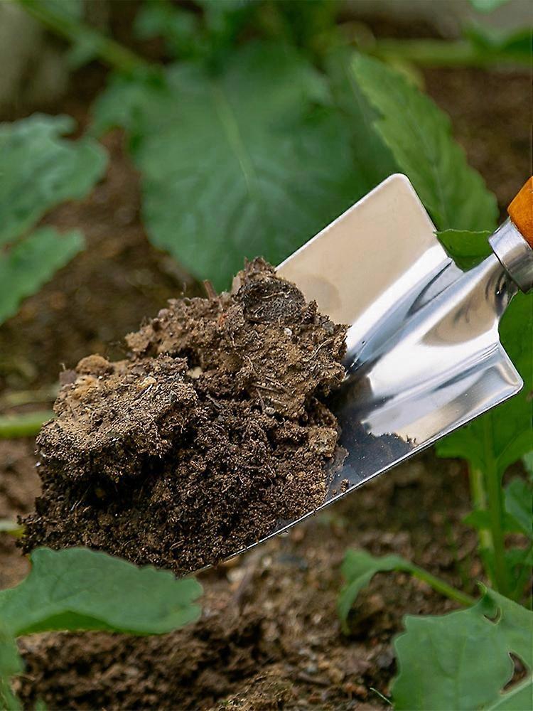 Garden Tool Set Seeder Outdoor Tools Gardening Tools Stainless Steel Plant Edgs Tweezers Flowers Gardening Shovels