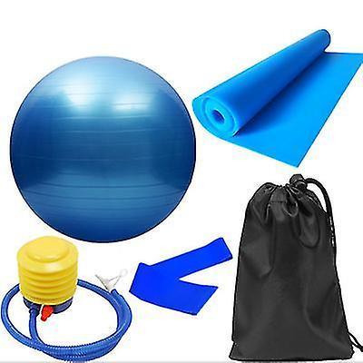 5pcs Purple Yoga Training Set with Fitness Ball & Bands