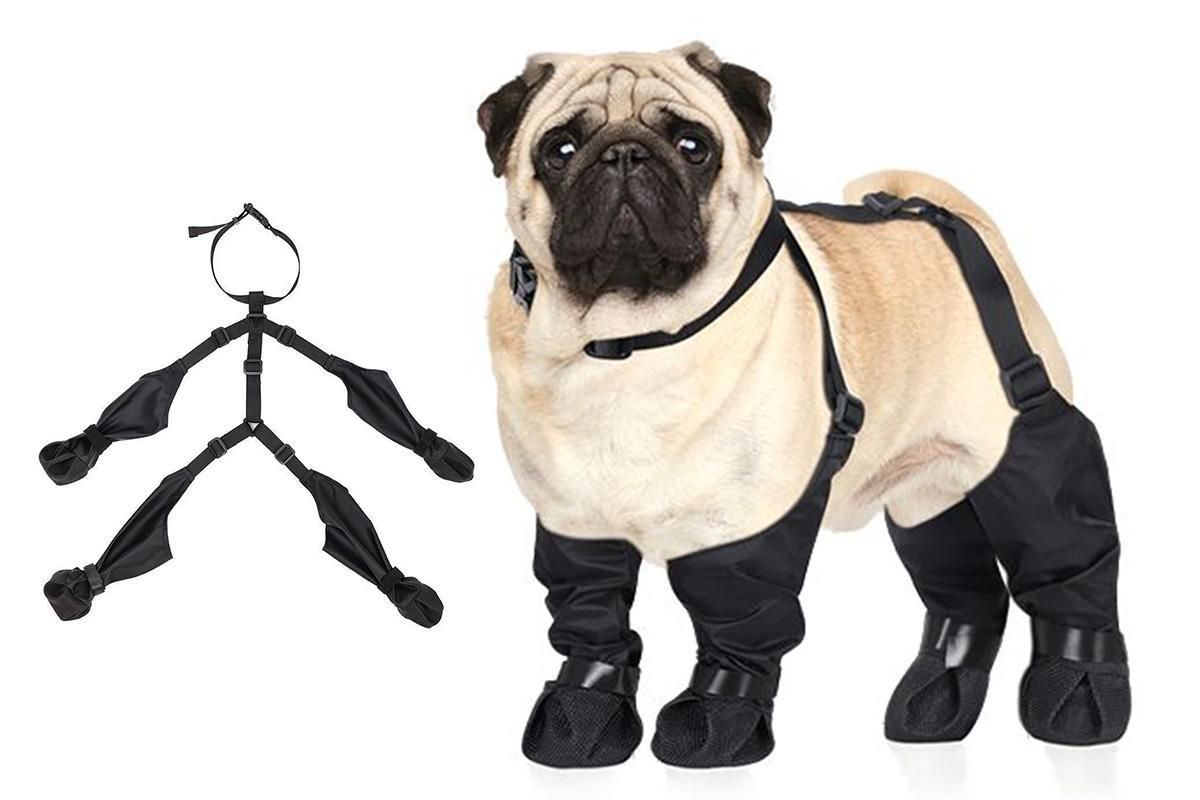 Waterproof Pet Boots Dog Rain Shoes for Outdoor Use - L