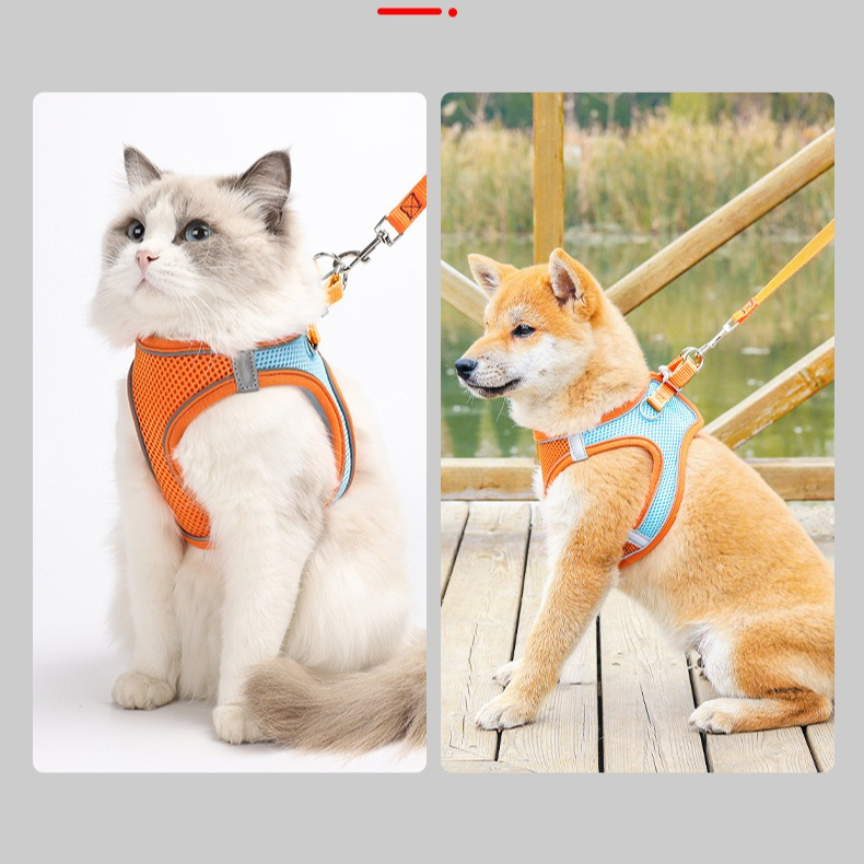 Breathable Reflective Pet Harness Set: Vest-Style Dog Harness + Leash - Black-M