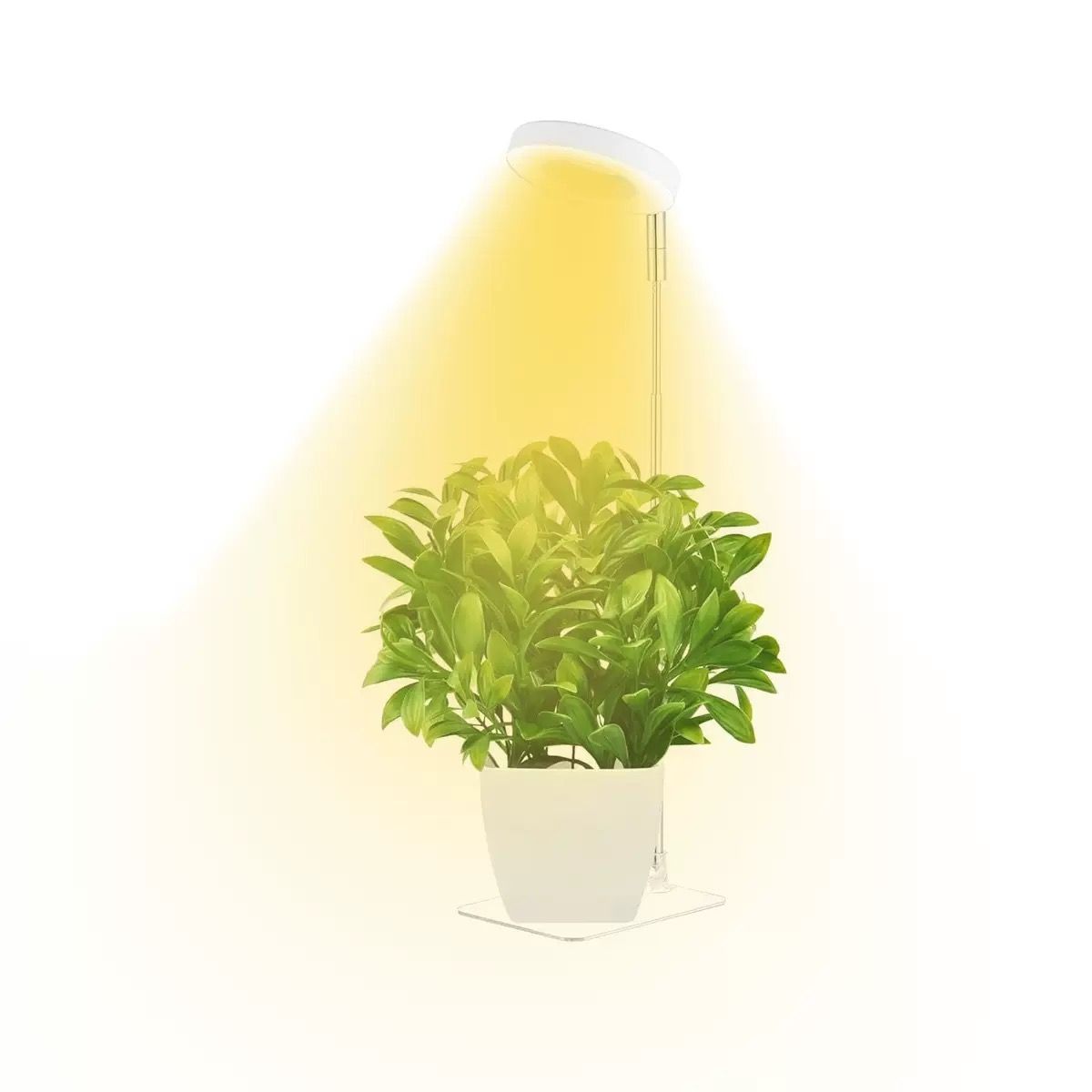 Full Spectrum LED Plant Grow Light with Telescopic Stand, Angel Ring Design, Dimmable Timer & Multi-Mode for Indoor Potted Plants, Succulents, and Home Desktop Decor (3PCS, Warm White Light (Black+Black Base))