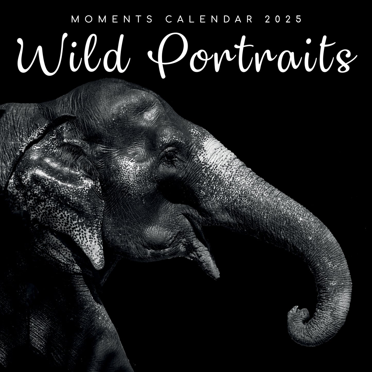Seascapes - 2025 Square Wall Calendar 16 Months Premium Planner Christmas Gift