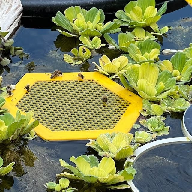 2PCS L 210x180x3.5mm Purple Floating Bee Saver Waterer - Safe Drinking Platform for Garden Ponds & Bird Baths
