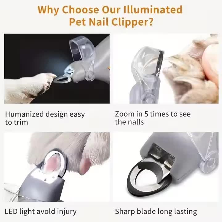 Illuminated Pet Nail Clippers with LED Light & Magnifier - Safety Claw Trimmer for Dogs & Cats - Lightweight Plastic Handle with Nail Catcher - 15cm Grey/Orange