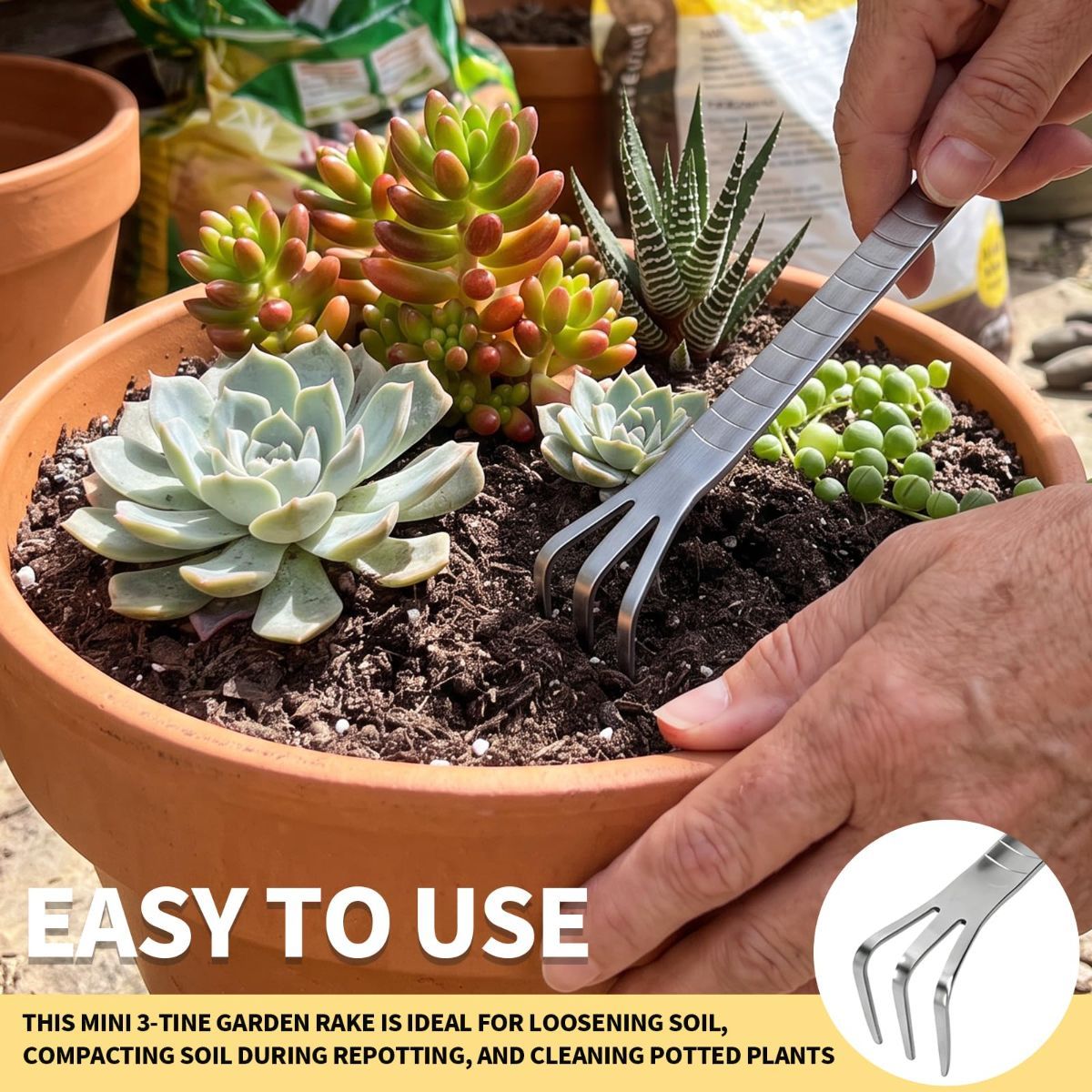 Bonsai Tools, Bonsai Root Rake, Small Root Hook,Rake Pic for Soil Loosening | Bonsai Repotting Tools, Stainless Steel,Japanese Bonsai Tools Single Hook,Heavy Duty 3-Prong,Succulent,Indoor Outdoor Planter