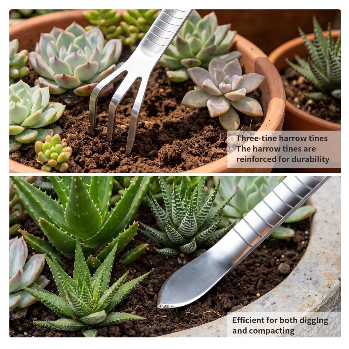 Bonsai Tools, Bonsai Root Rake, Small Root Hook,Rake Pic for Soil Loosening | Bonsai Repotting Tools, Stainless Steel,Japanese Bonsai Tools Single Hook,Heavy Duty 3-Prong,Succulent,Indoor Outdoor Planter