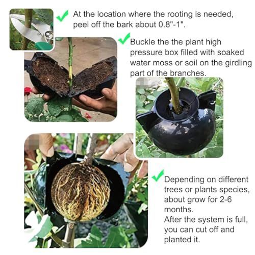 20 PCS Air Layering Propagation Kit with Zip Ties, Reusable Grafting Ball, Clear Air Layering Pods, Rooting Ball for Fast Propagation (Small)