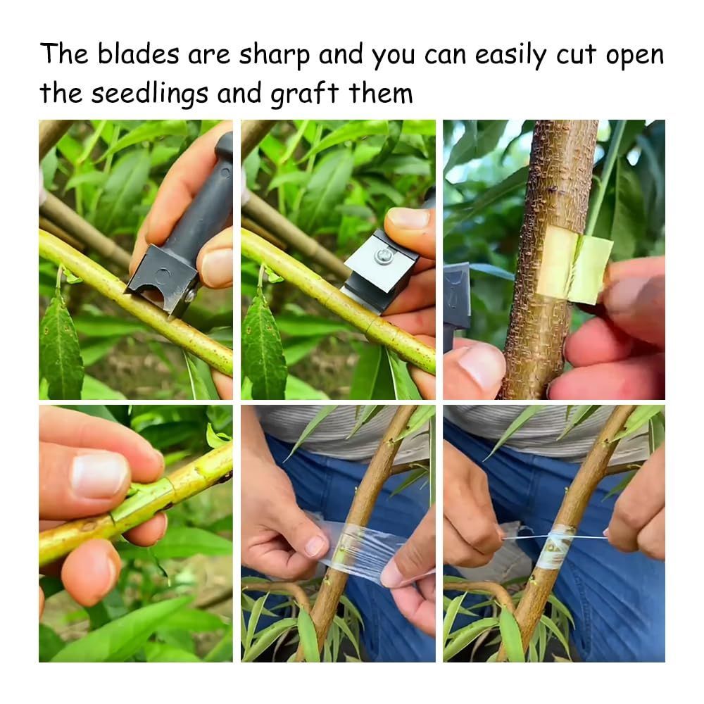 2Pcs Double Knife Branch Grafting Knife Garden Professional Grafting Cutting Tool Sharp Grafting and Pruning Tool Practical Bark Removal Garden Accessory for Gardeners & Fruit Tree Care