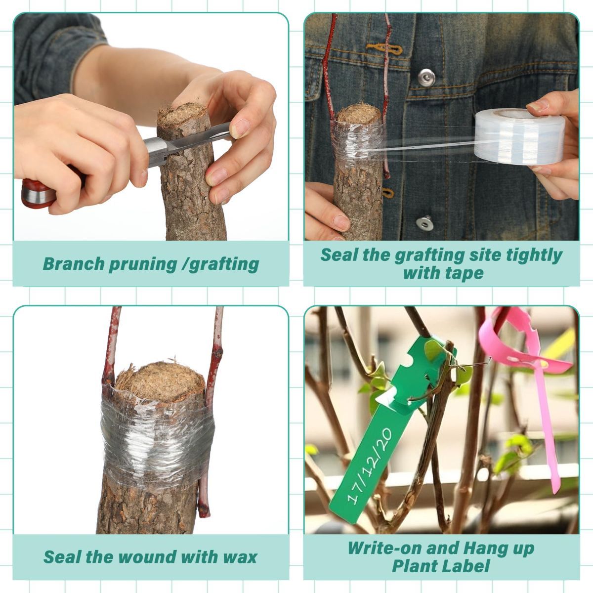 Grafting Tool Kit with Grafting Wax, Knife, Tape for Fruit Trees | Complete Grafting Set, 8 oz Wax, 2-5/8" Curved/straight Knife, 3 Tapes, 12 Labels, for Floral Budding, Garden Maintenance