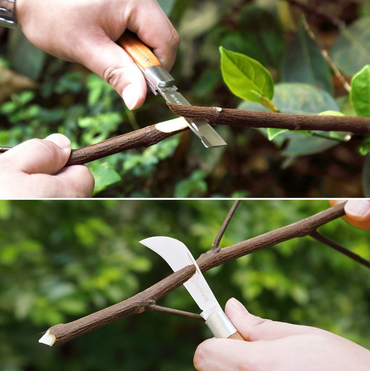 [6 Blades Enhanced] 2 in 1 Garden Grafting Tool Kit for Fruit Trees with Grafting Knife Grafting Tapes,Extra Replacement Blades Included,Professional Grafting Scissor Shear