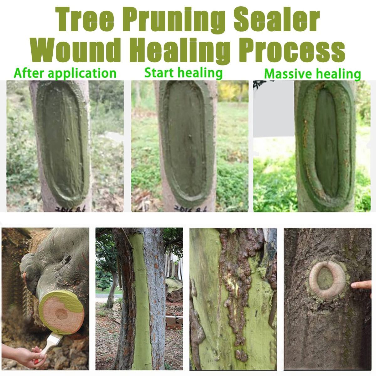 1Pack 100g Tree Wound Sealer, Tree Pruning Sealer, Tree Grafting Supplies, Tree Wound Sealer Healing Paste, Bonsai Cut Paste, Pruning Sealer And Tree Wound Dressing for Trees, Shrubs, Roses - Green - Size 1Pack