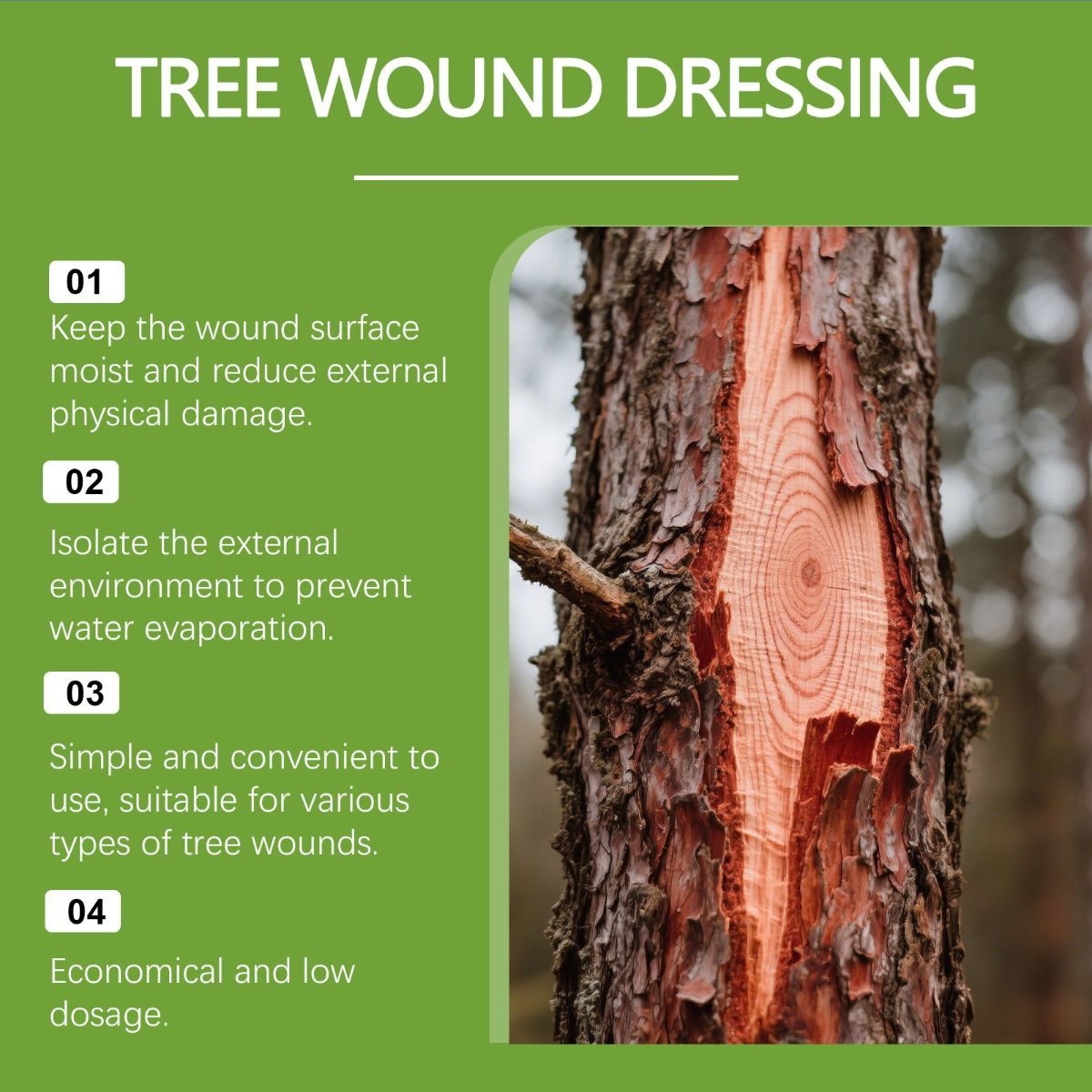 1Pack Tree Wound Sealer (227g), Organic Pruning Sealer for Cut, Grafting & Damaged Bark, Tree Wound Dressing for Fruit Trees, Bonsai, Roses, Shrubs & Garden Trees, Waterproof Protection
